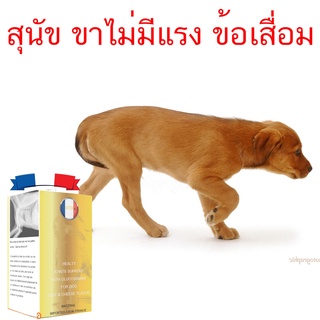 อาหารเสริม สุนัขบํารุงข้อสุนัข