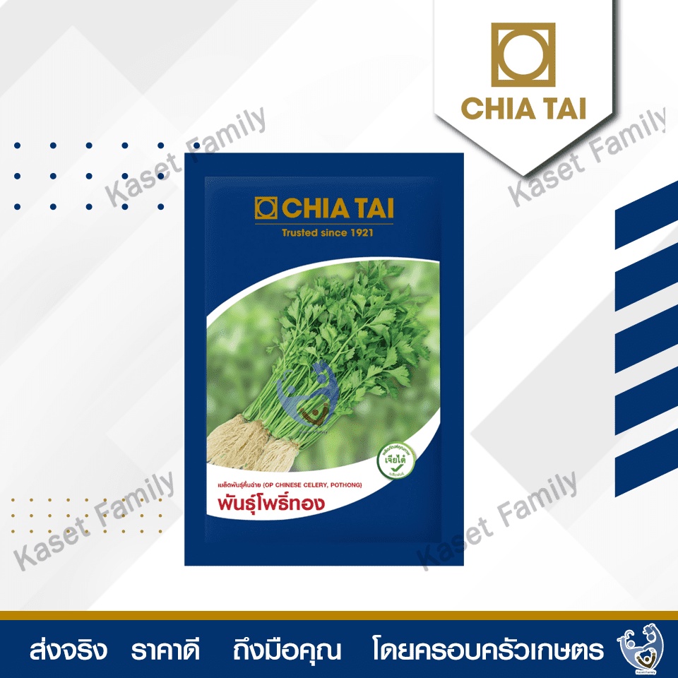คื่นฉ่ายโพธิ์ทอง 50 กรัม เมล็ดคื่นฉ่าย ตราเจียไต๋