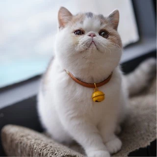 ขายส่ง ทําเอง ระฆังที่มีสีสัน22มิลลิเมตรลูกอมสีอบสีระฆังรอบระฆังสัตว์เลี้ยงสุนัขแมวปกอุปกรณ์พอดีเทศกาล/พรรค/สัตว์เลี้ยงส