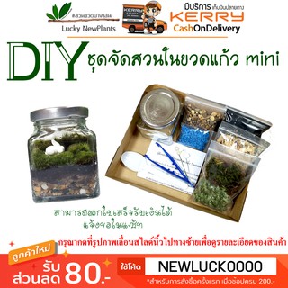 ชุดสวนขวด DIY ไซต์มินิ วัสดุอุปกรณ์ครบพร้อมคู่มือการจัดการดูแล