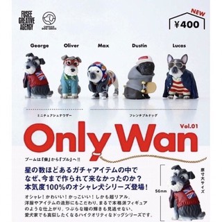 กาชาปอง Only Wan Capsule Dog Series Vol.1 {งานแท้ญี่ปุ่น}.