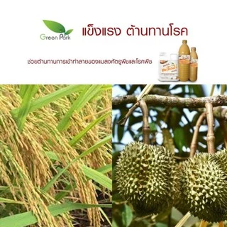 ฮอร์โมนไข่ ขนาด 1 ลิตร ตรา green park สูตรเข้มข้น แช่เมล็ด เร่งราก แตกตา ดอก ผล ดก ต้านทานโรค เพิ่มผลผลิต เพิ่มความหวาน