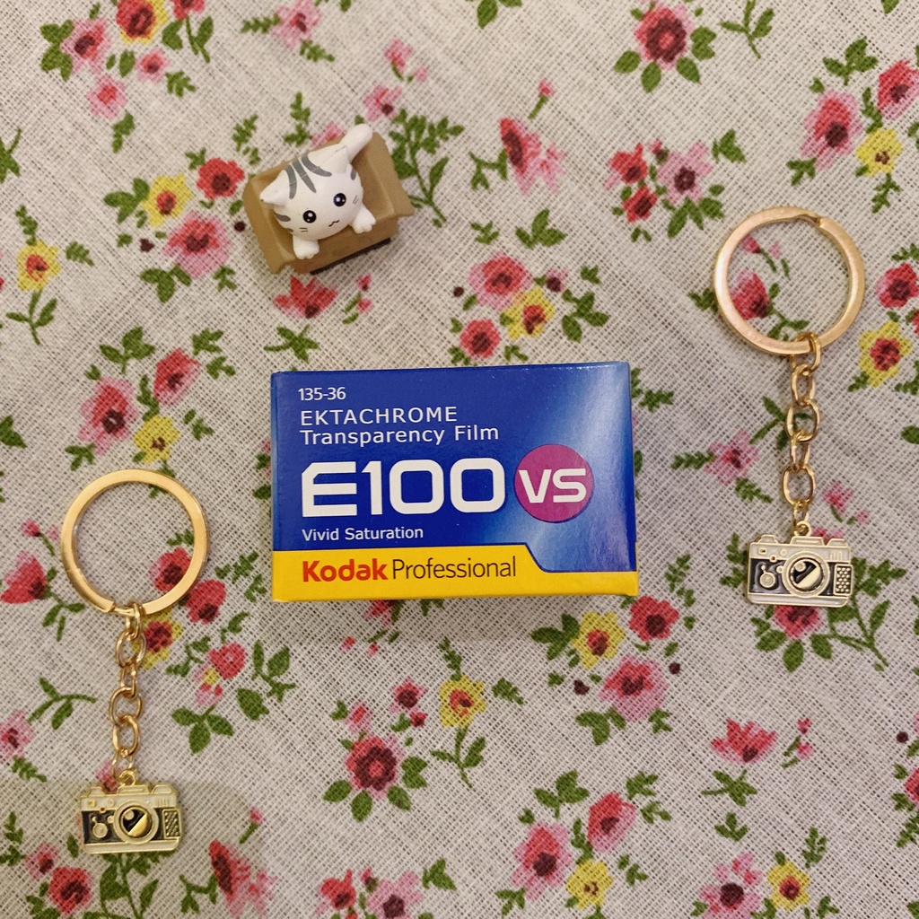 ฟิล์มสไลด์ Kodak Ektachrome E100VS