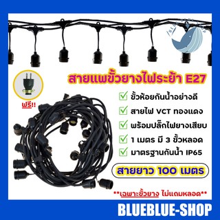 ชุดขั้วยางไฟสายแพระย้า E27 **ราคาเฉพาะสาย ไม่รวมหลอด** ความยาว 100 เมตร 300 ขั้ว (เฉพาะขั้วไฟ+ปลั๊ก ไม่แถมหลอด)