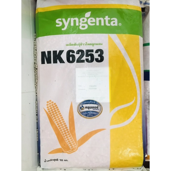 🌽เมล็ดพันธุ์ข้าวโพด NK 6253🌽