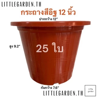 Little กระถางต้นไม้ 12 นิ้ว 25 ใบ(ดำเงาA+🖤) (สีขาวออร่าA+🤍)(สีอิฐ🧱)(สีใสA+💎)(Air pot🍀)