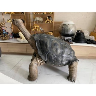 1:1 Lonesome George งานเรซิ่น ต้องรับที่ร้าน