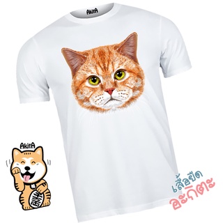 เสื้อยืดลายแมวส้ม Orange cat T-shirt