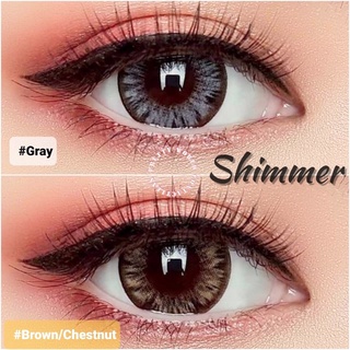 💫Wink : Shimmer Bigeye ตาโต แบ๊ว สายตาปกติ -7.50