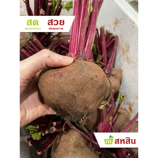 บีทรูท 1 กิโลกรัม บีทรูทสด Beetroot สด ใหม่ คัดคุณภาพ