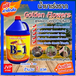 *ส่งฟรี**น้ำยาเร่งราก วิตามิน บี-1 Golden Flower  ขนาด 4 ลิตร จำนวน 1 ขวด เรียกราก B-1 เร่งการแตกราก รากเดินดี โตเร็ว