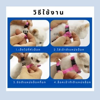 PEKO PET&CAT สายจูงสัตว์เลี้ยง แบบสองวรรค สำหรับสุนัข แมว กระต่าย สายจูงเชือกไนล่อน มีหลายสี