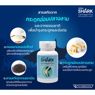 กระดูกอ่อนปลาฉลาม VORA SHARK CARTILAEG PLUS