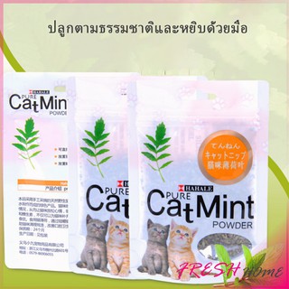 ผงแคทนิป &amp; ผงมาทาทาบิ ซองซิบ "พลาสติก"  ของแท้ 100% โรยของเล่นแมว 5g (พร้อมส่ง) Catnip