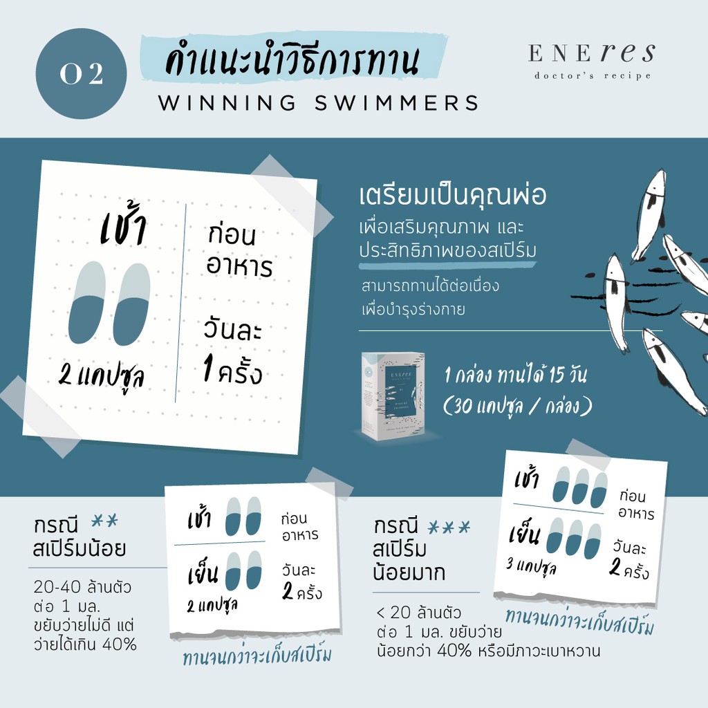 ENEres02 (Winning Swimmers)  เตรียมความพร้อมเป็นคุณพ่อ บำรุงร่างกาย บำรุงพลังงานคุณผู้ชาย เพิ่มทั้งคุณภาพและปริมาณ - รูปที่ 7