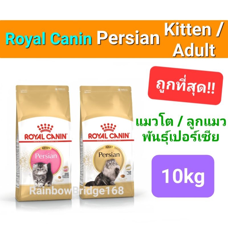 Royal Canin Persian Adult 10kg Royal Canin Kitten Persian 10kg อาหารแมวโต ลูกแมว เปอร์เซีย ถุง 10 กก.