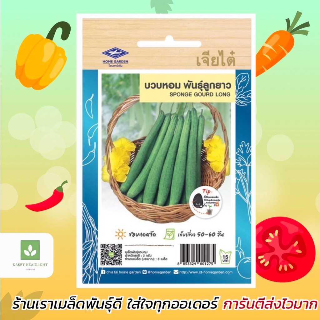 บวบหอมลูกยาว เจียไต๋ เมล็ดพันธุ์บวบหอมยาว