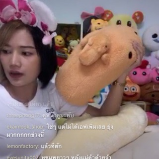 หมึกชมพูกับ คาปิบาร่า