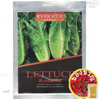 LETTUCE ROMAINE 1 gram (approx 1200 seeds) Ever Rich Seedเมล็ดเชีย เมล็ดกุหลาบ เมล็ดดอกไม้ เมล็ดดอกดาวเรือง เมล็ดต้นอ่อน