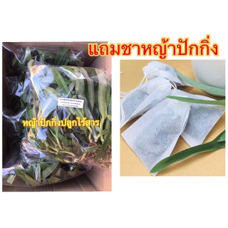 หญ้าปักกิ่ง ส่งพร้อมราก ขนาด250 กรัม (Organic100%)