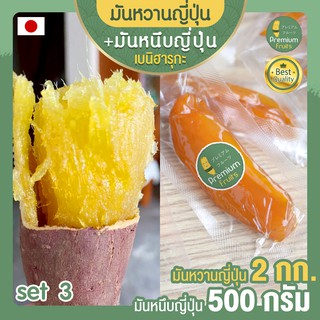 มันหวานญี่ปุ่น 2 Kg + มันหนึบ 500 กรัม ขนมญี่ปุ่น เบนิฮารุกะ นำเข้าจากญี่ปุ่น มันหวาน มันหวานหนึบ มันญี่ปุ่นหวาน