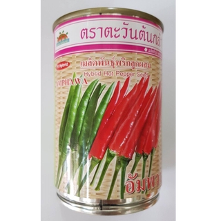 เมล็ดพันธุ์พริกลูกผสม อัมพวา AMPHAWA (50g) ตรา ตะวันต้นกล้า