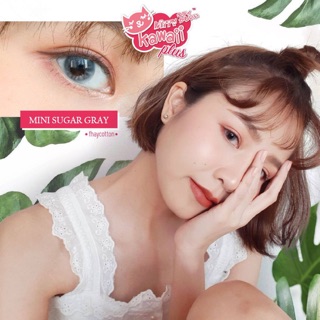 mini sugar brown/gray (0.00ถึง-5.00)