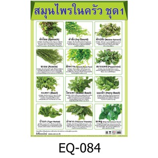 สมุนไพรในครัว 1 EQ-084 สื่อโปสเตอร์ภาพ กระดาษ หุ้มพลาสติก