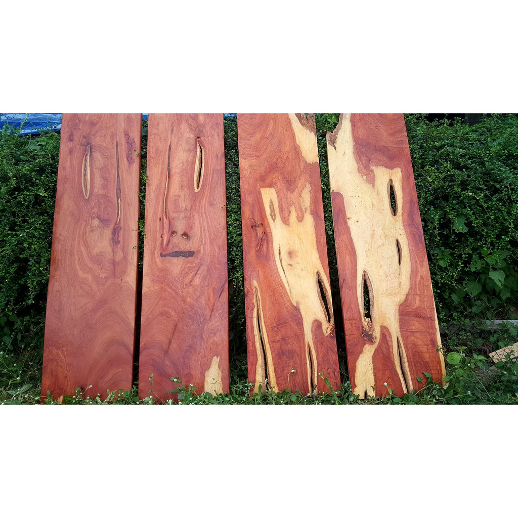 Pradoo'Siamหน้าไม้ ขนาดประมาณ 40x150ซม. 1แผ่น