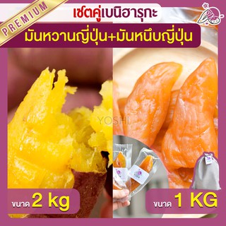 แพ็คคู่ถูกกว่า มันหวานญี่ปุ่น เบนิฮารุกะ 2kg + มันหนึบ 1kg  มันหวานญี่ปุ่นนำเข้า มันหวานญี่ปุ่นเบนนิฮารุกะ มันหนึบ