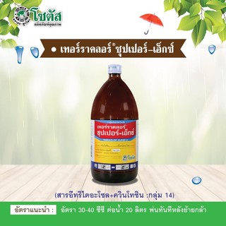 เทอร์ราคลอร์ ซุปเปอร์-เอ็ก