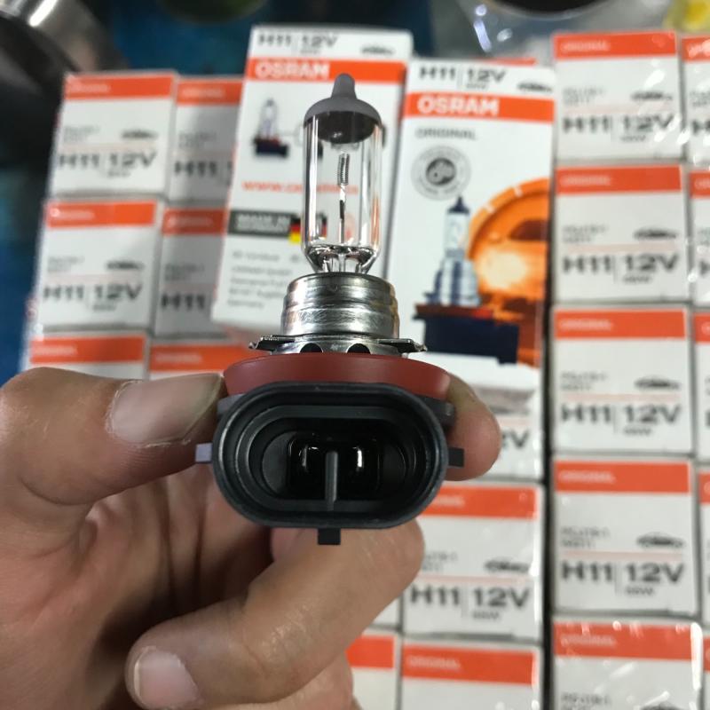 หลอดไฟรถยนต์ H11 12V 55w Osram germany แท้ จำนวนเลือกตามตัวเลือกค่ะ รบกวนตรวจเช็ครหัสขั้วก่อนทำการสั่งซื้อนะคะ - รูปที่ 5