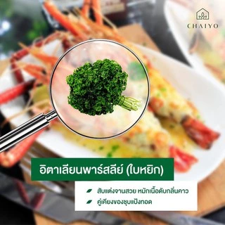 เมล็ด Parsley (Triple Moss) อิตาเลี่ยนพาร์สลีย์(ใบหยิก)