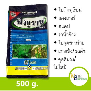 (500 g) ฟังกูราน โอเอช สารคอปเปอร์ ป้องกันกำจัดโรคพืชสูตรทนฝนคุณภาพสูง คอปเปอร์ ไฮดรอกไซด์ โซตัส 0114