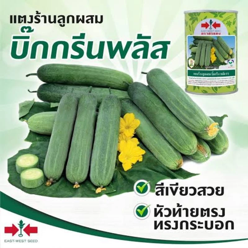 แตงร้าน บิ๊กกรีนพลัส 100 กรัม