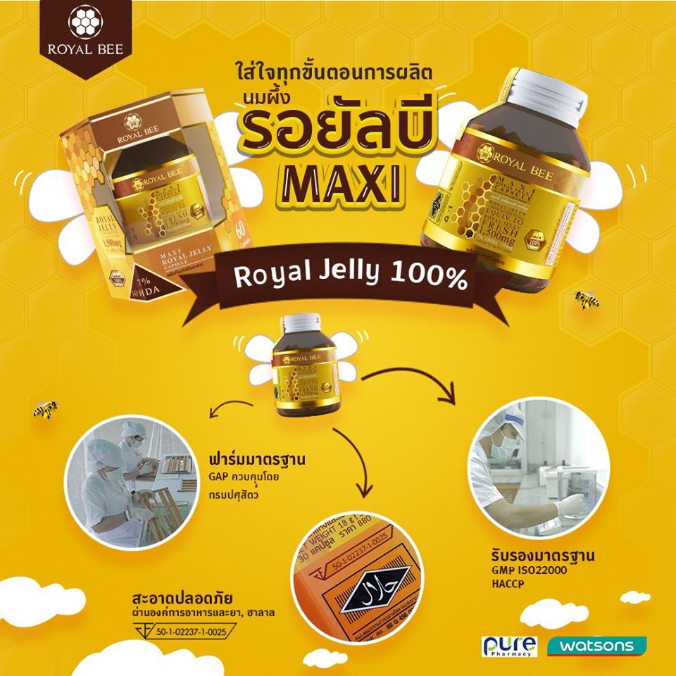 เเพคเกจใหม นมผ ง Royal Bee Maxi Royal Jelly 7 10hda นมผ งแท 100 จาก Royalbee Royaljelly นมผ ง Royal Jelly Shopee Thailand