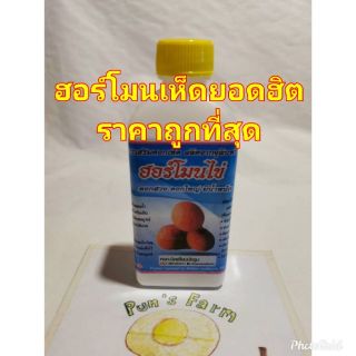 ฮอร์โมนไข่ บำรุงดอกเห็ดทุกชนิด