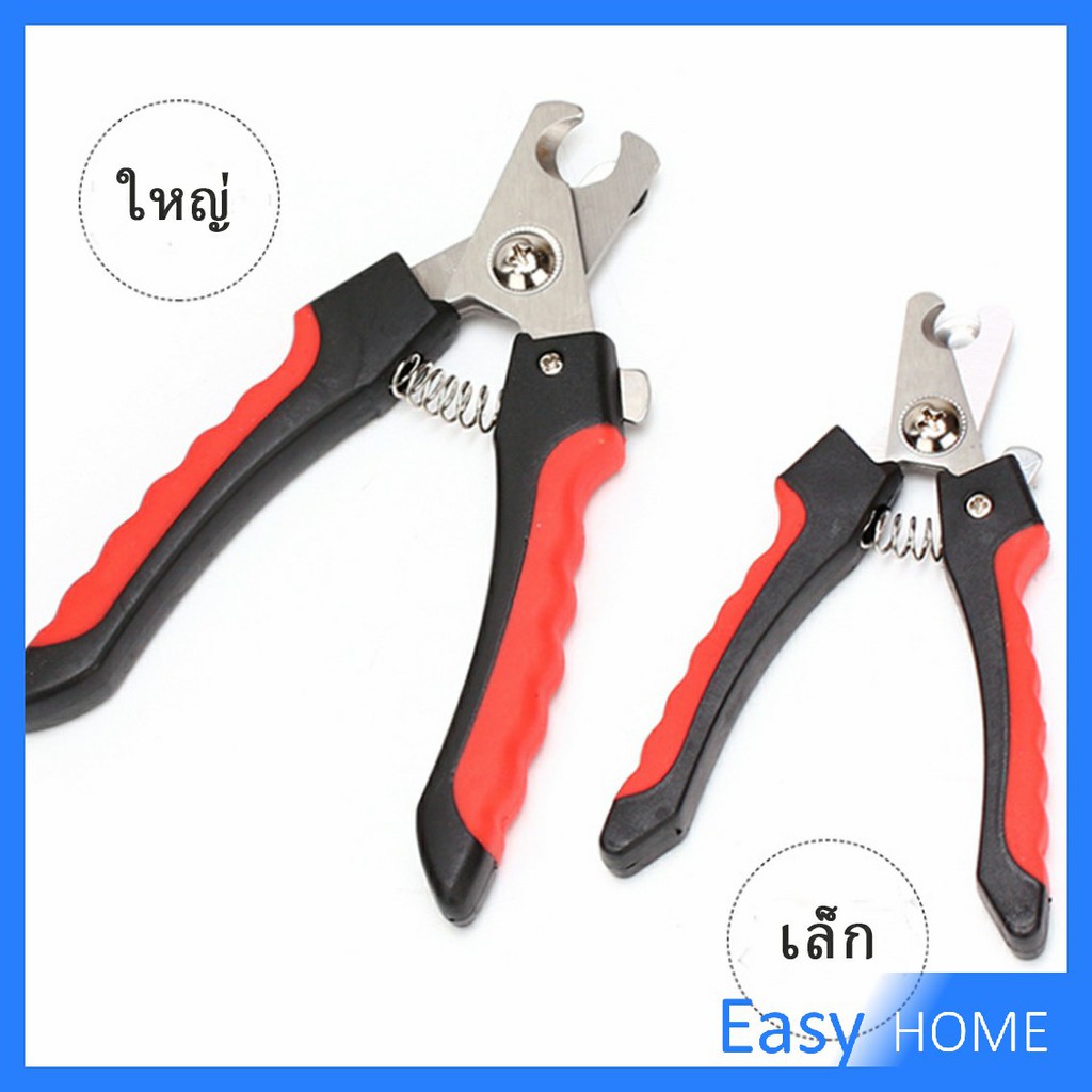 รูปภาพ 2