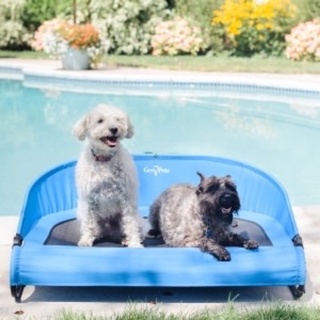 Gen7Pets Cool-Air Cot Pet Bed ที่นอนสำหรับสุนัขและแมว พกพาได้ ไว้สำหรับเดินทาง