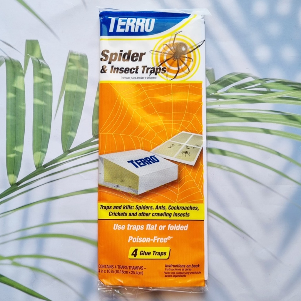 กับดักแมงมุม และ แมลง กาวดักแมลง Spider & Insect Traps 4 ชิ้น Model T3206 (TERRO®)