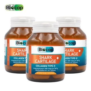 [แพ็ค 3 ขวด] กระดูกอ่อนปลาฉลาม คอลลาเจนไทพ์ทู ไบโอแคป Shark Cartilage Collagen Type 2 Type2 คอลลาเจน ไทพ์ทู