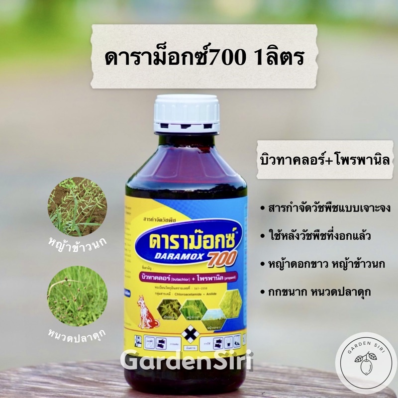 ดาราม๊อกซ์70 (บิวทาคลอร์ + โพรพานิล) ขนาด 1ลิตร ตราหมาแดง