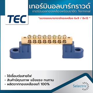 เทอร์มินอล เทอร์มินอลทองเหลืองพร้อมขายึด เทอร์มินอลบาร์กราวด์ Terminal