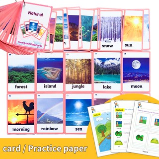 Nature English Flash Card Gifts Practice Paper Exercise Coloring Books Educational Toys