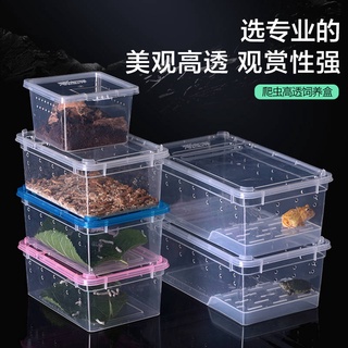 Silkworm Baby Feeding BOX ปีนสัตว์เลี้ยงให้อาหารกล่องแมงมุม Palace GUARD จิ้งจกตะขาบด้วงแตรกบสัตว์น้ำเต่า