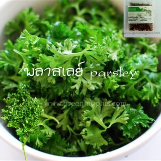 พลาสเลย์ parsley 2 กรัม