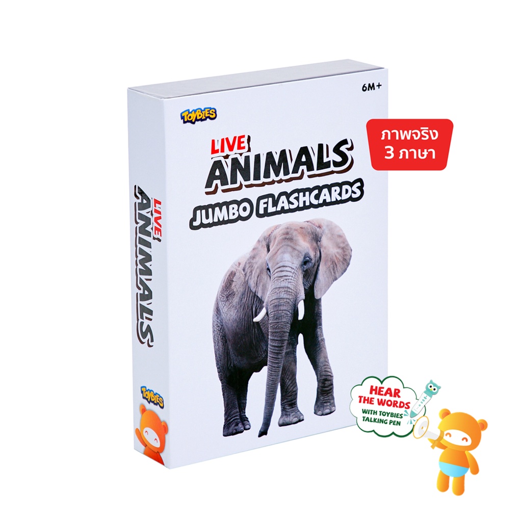 Toybies บัตรคำยักษ์ Animals มีเสียงพูด เมื่อใช้ร่วมกับปากกาพูดได้ Toybies หนา ฉีกไม่ขาด พิมพ์ด้วยหมึกถั่วเหลือง ปลอดภัย