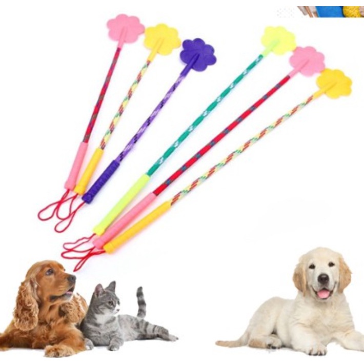 JACKET QUE/ฝึกสุนัขและแมว