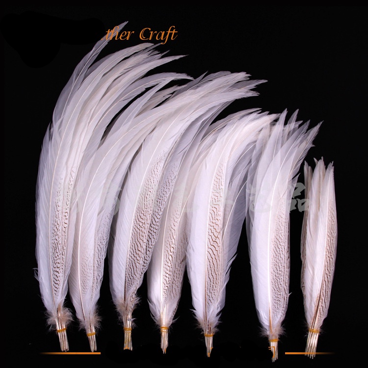 30inch white Silver Pehiasant Tail feathers/lady amherst/ขนไก่ pluti装饰