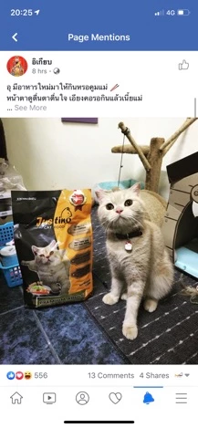 อาหารแมว จัสติโน่ Justino Premium Cat Food